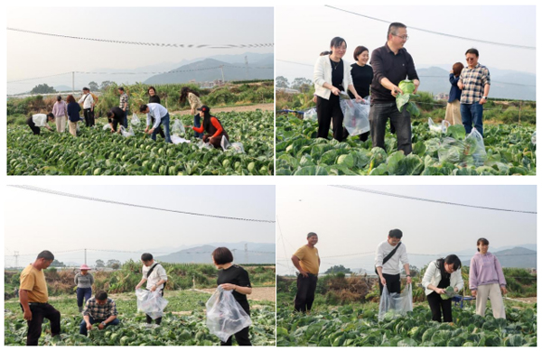 QQ20250411-092753.jpg QQ20250411-092753.jpg